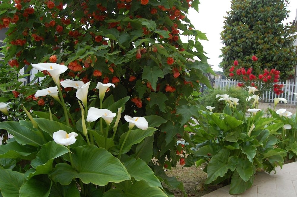 B&B La Tartaruga3