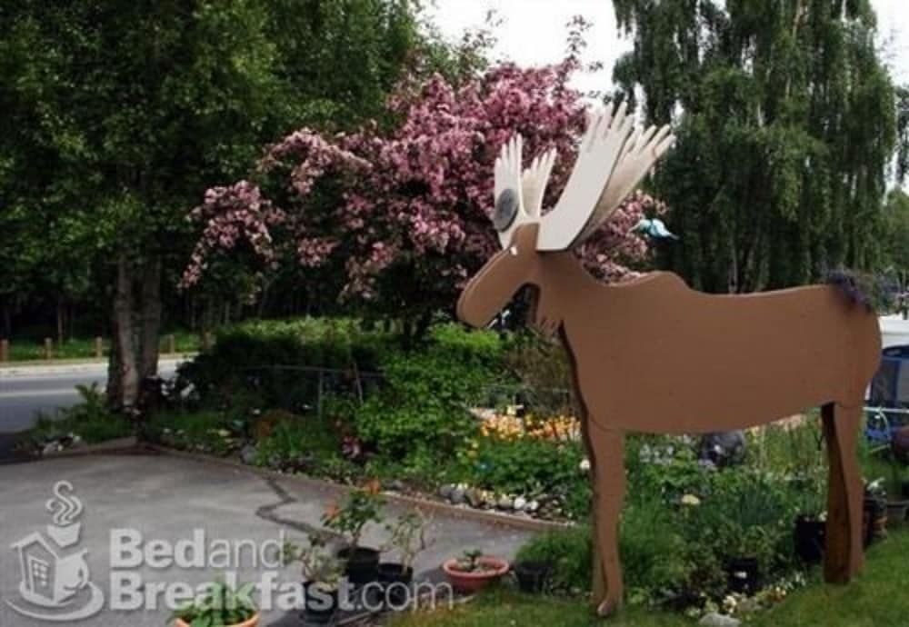 Anchorage Walkabout Town Bed and Breakfast4