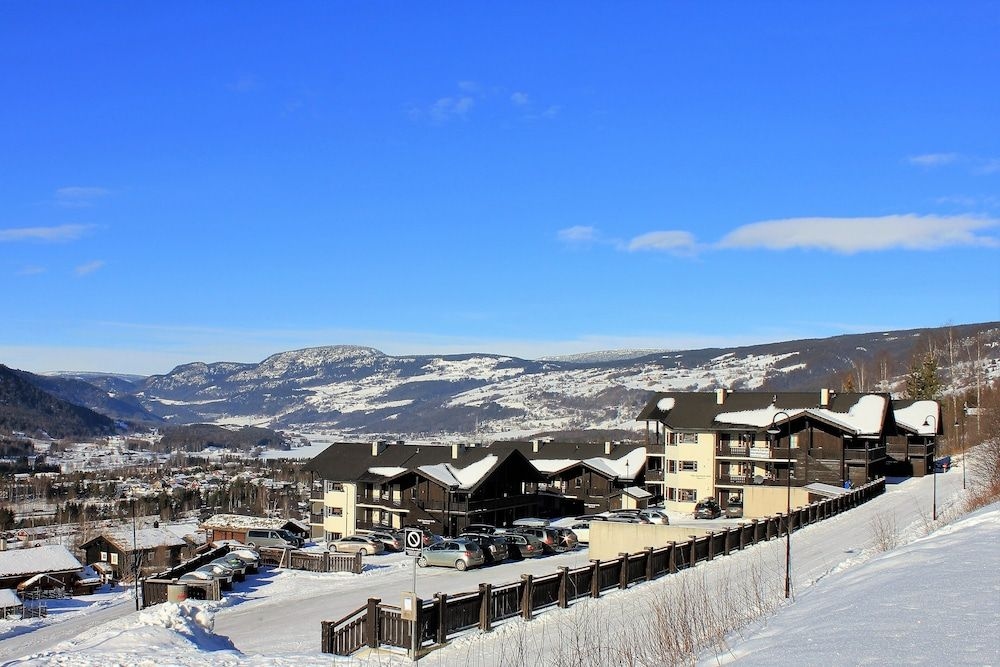Alpin Apartments Sorlia0