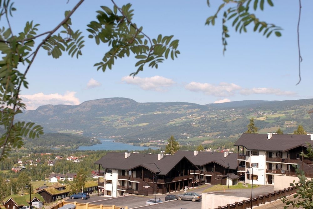 Alpin Apartments Sorlia1