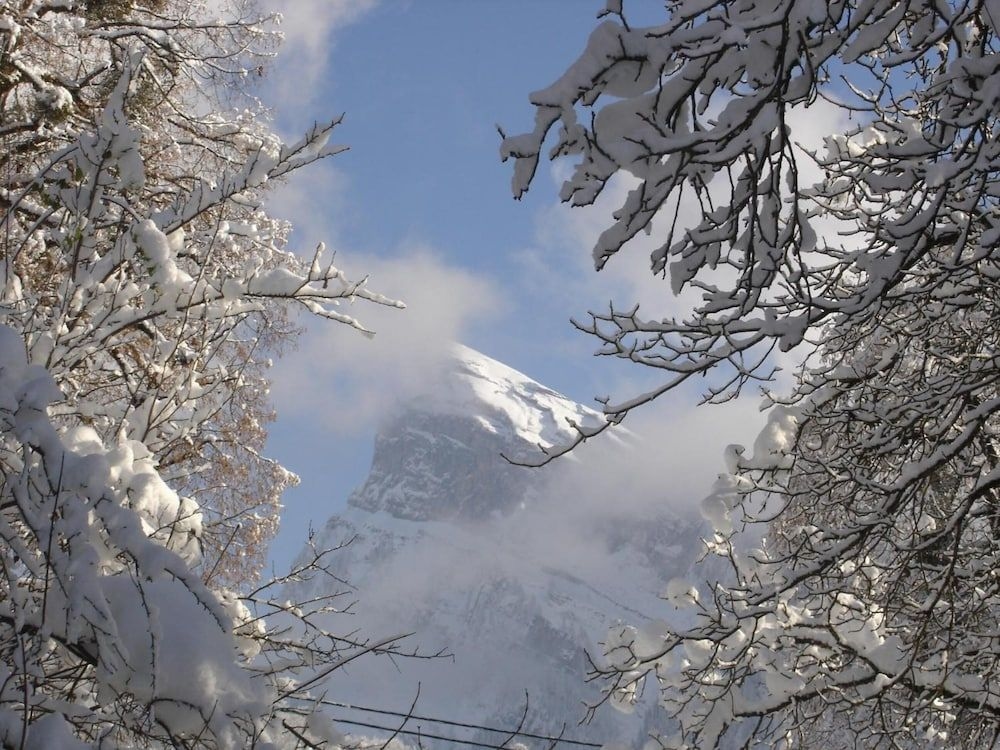 Edelweiss2