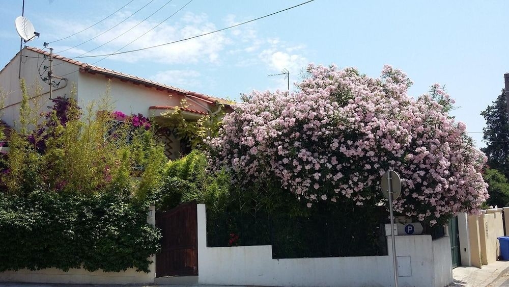 Cielito Lindo2
