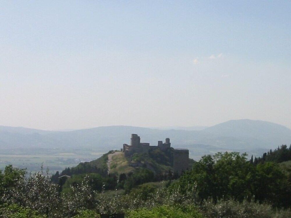 Appartamenti La Pineta0