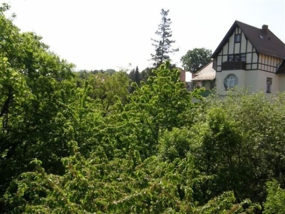 Villa Bellevue Dresden3