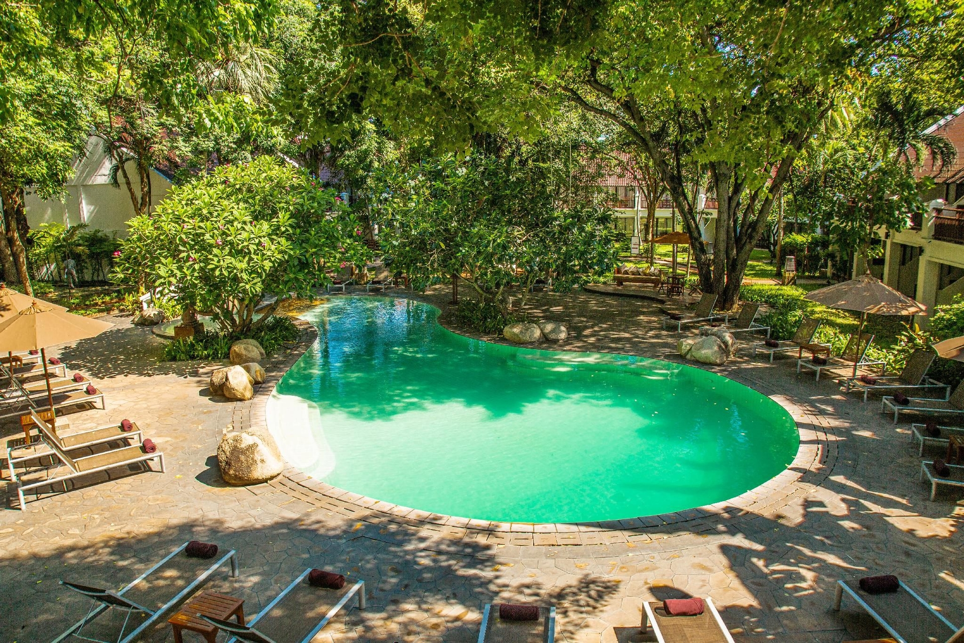 วู้ดแลนด์ โฮเต็ล แอนด์ รีสอร์ต (Woodlands Hotel and  Resort)4