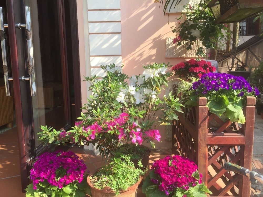 Thai Binh Sapa Hotel4