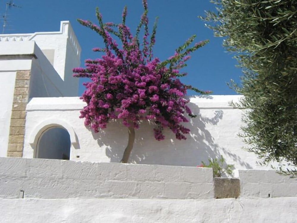 Masseria Rienzo4