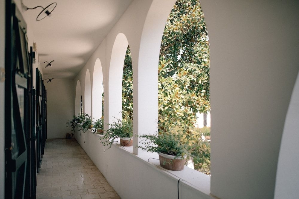 A Casa Tu Martinu1