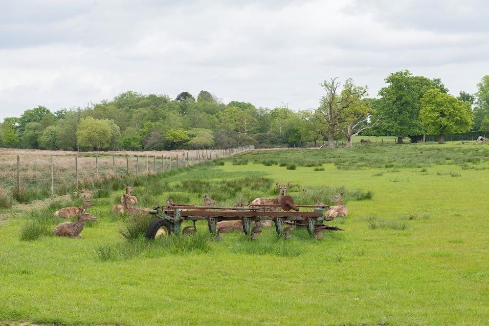 Burley Manor3