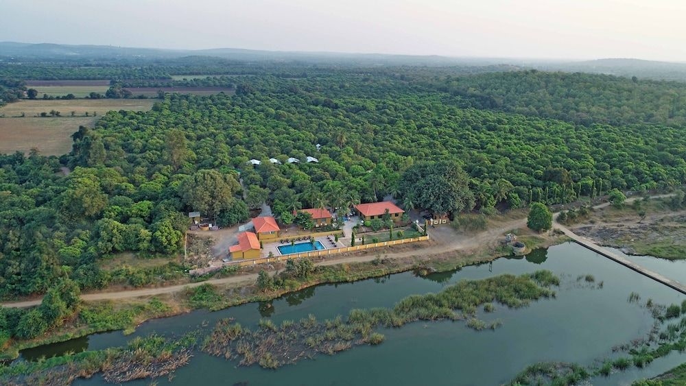 Lion Safari Camp0
