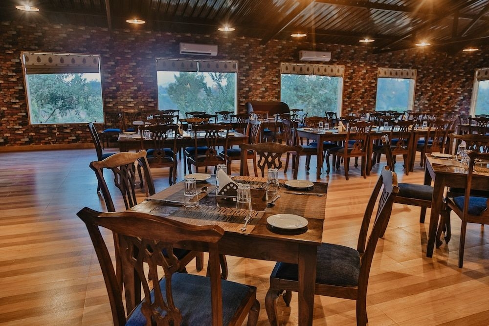 Lion Safari Camp4