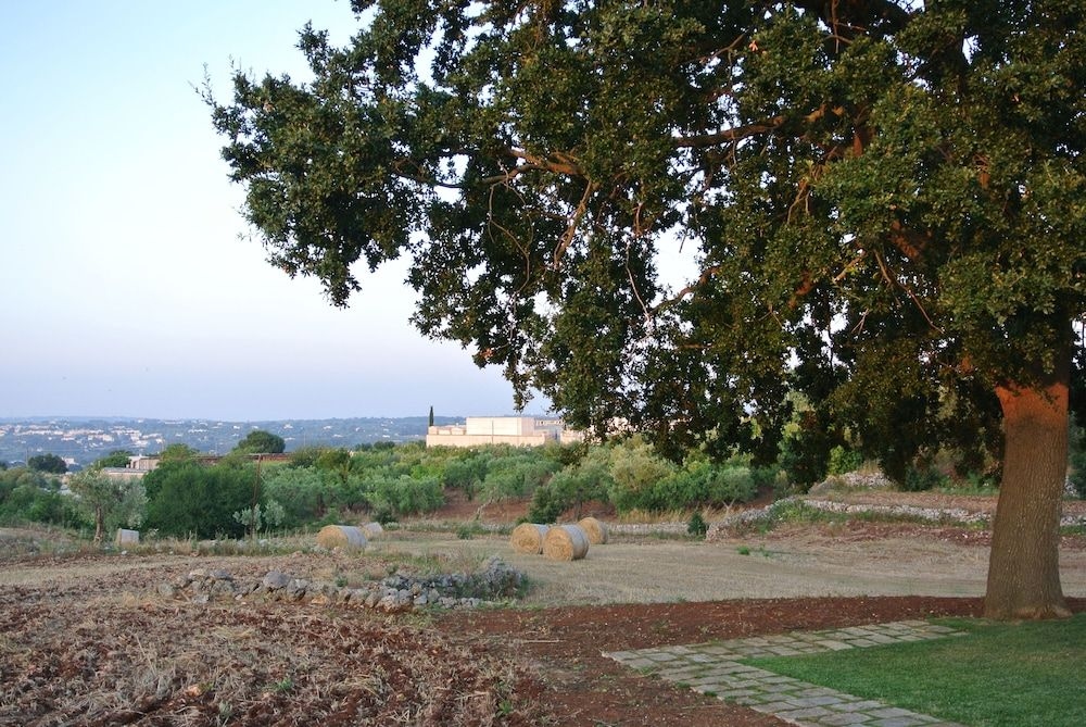 Trulli Paparale0