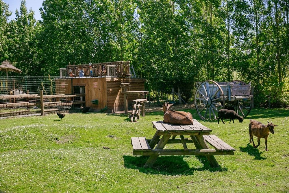 Camping Saint Michel2