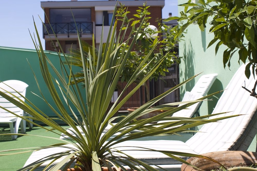 Hotel Residence Charles4