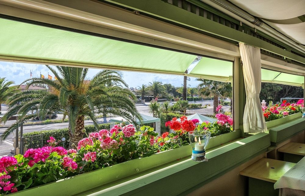 Hotel Siesta0