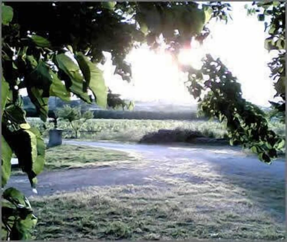 Agriturismo La Natura0