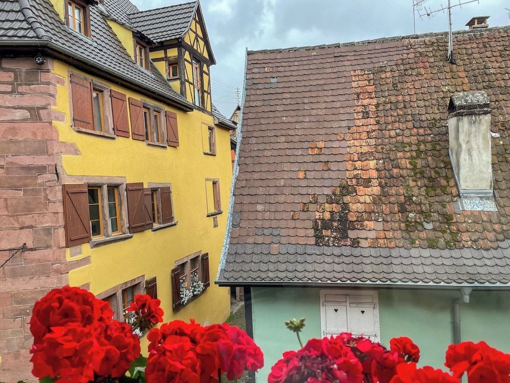 La Maison Bleue3