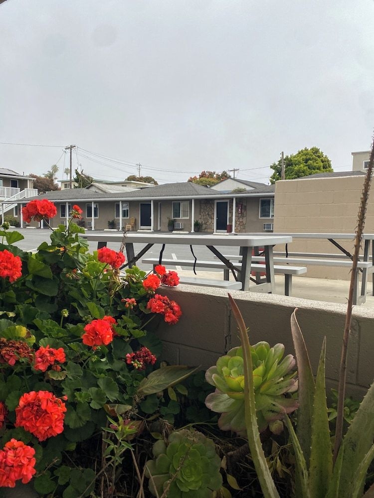 Rockview Inn and Suites1