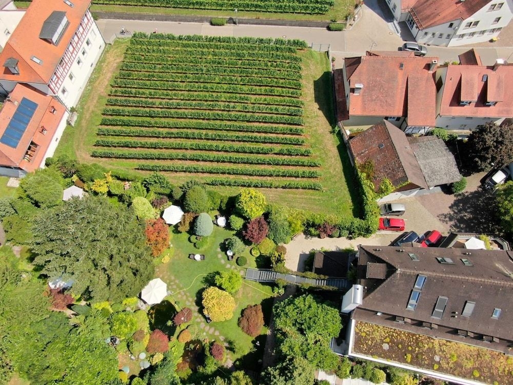 Hotel Der Lowen2