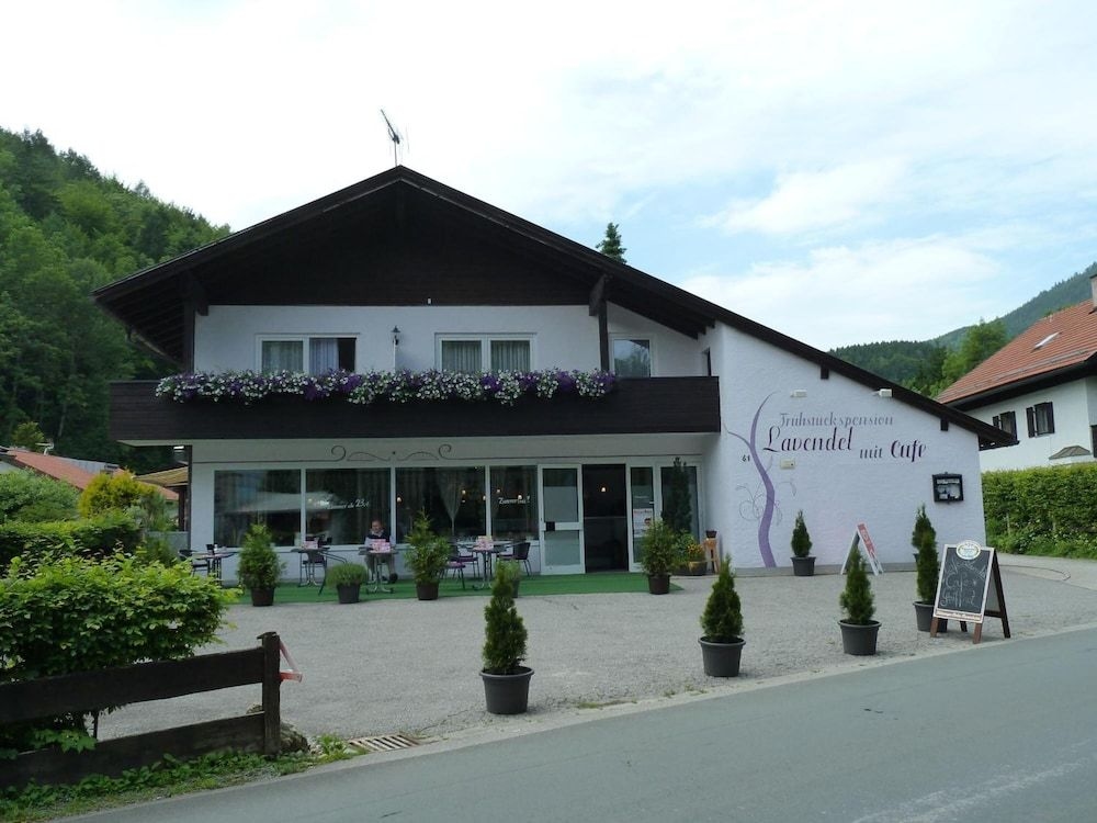 Fruhstuckspension Lavendel1