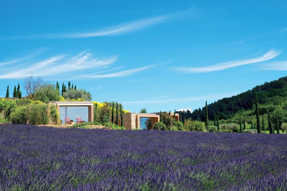 Domaine des Andeols3