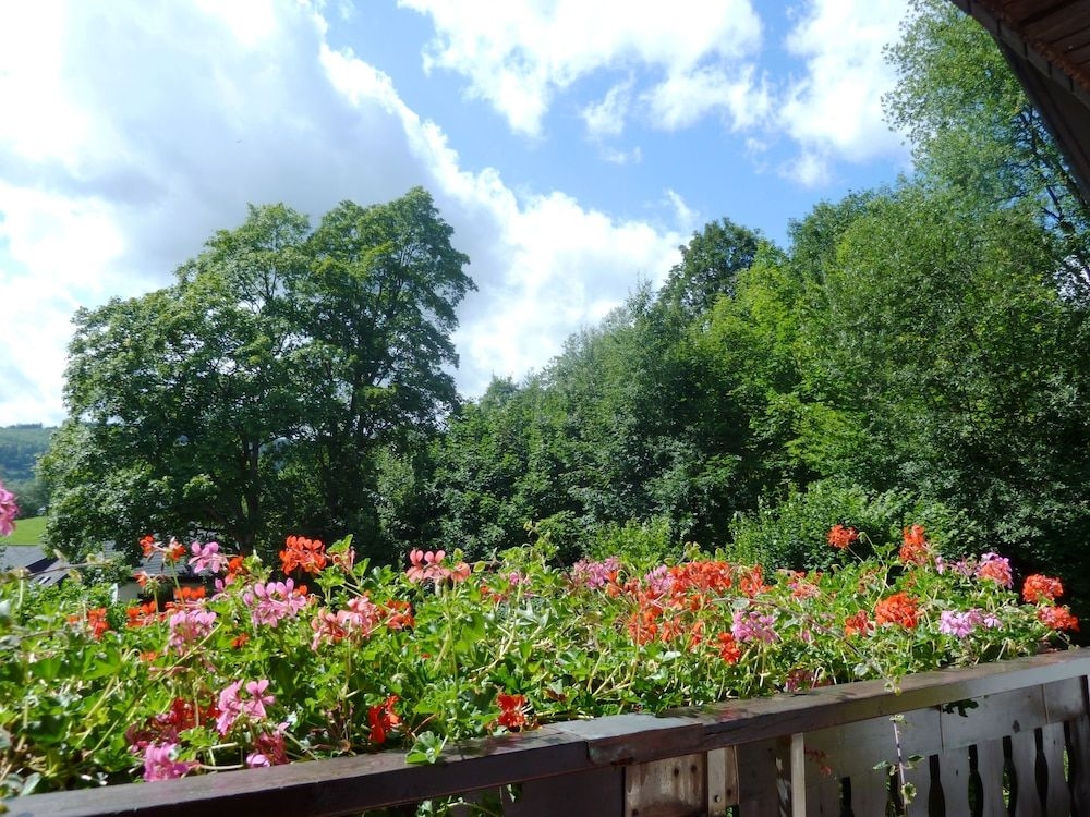 Pension Haus Waldfrieden0