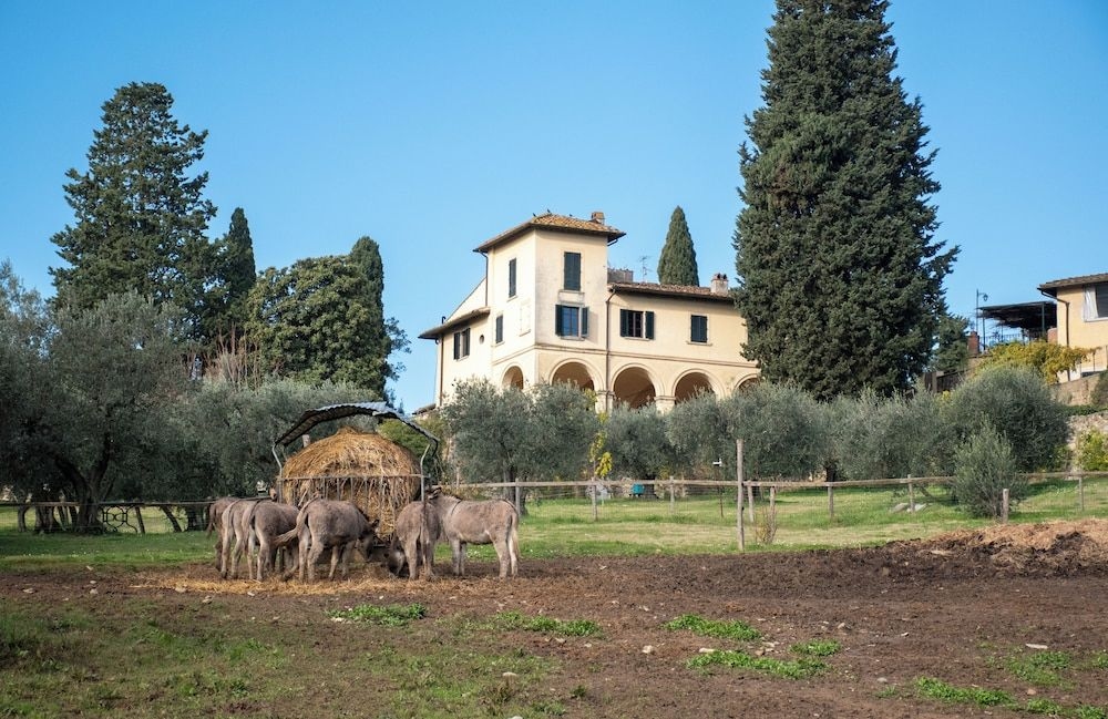 Fattoria di Maiano3