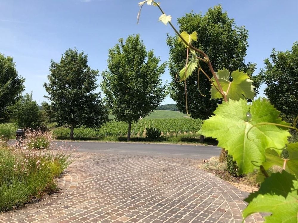 Les Grains d'Argent Dizy - Epernay0