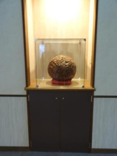 ไฮแลนด์ ลอดจ์ ทาเกเก็น (Highland Lodge Takegen)3
