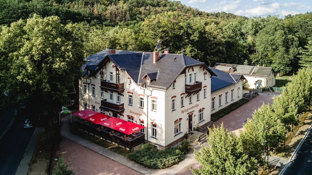 Historische Spitzgrundmuhle1