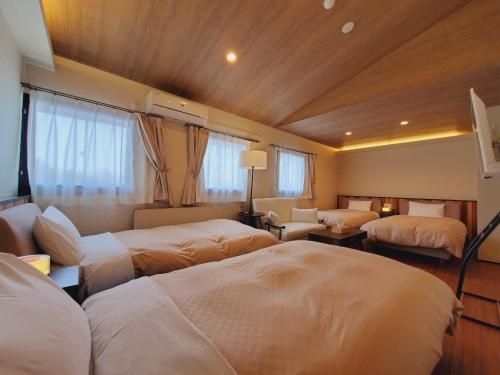 วิลลา มอนเรโป (Villa Monrepos)1