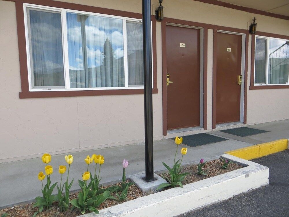 Bristlecone Motel2