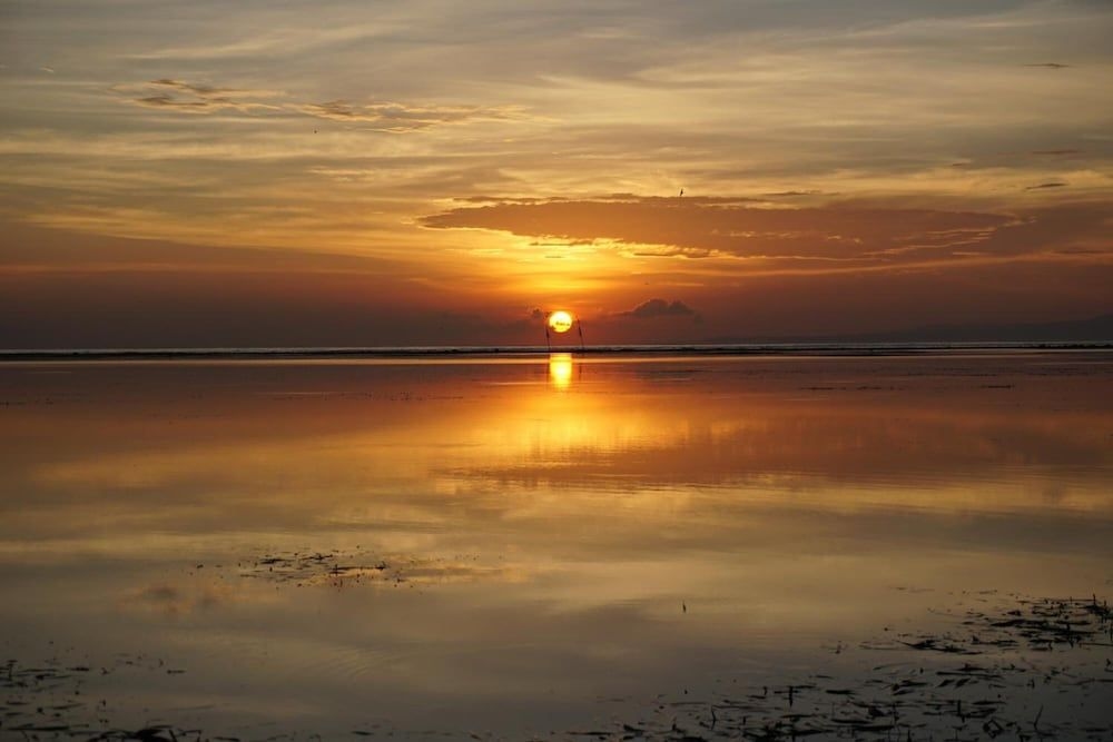 Praschita Bali0