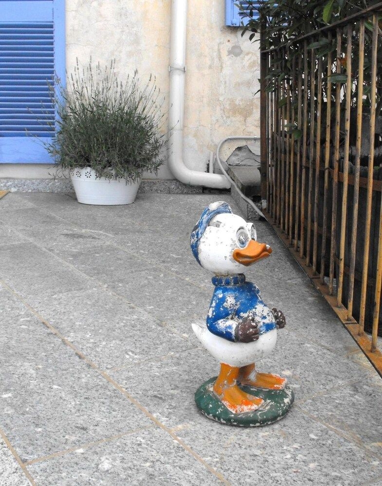 B&B Del Piazzo3