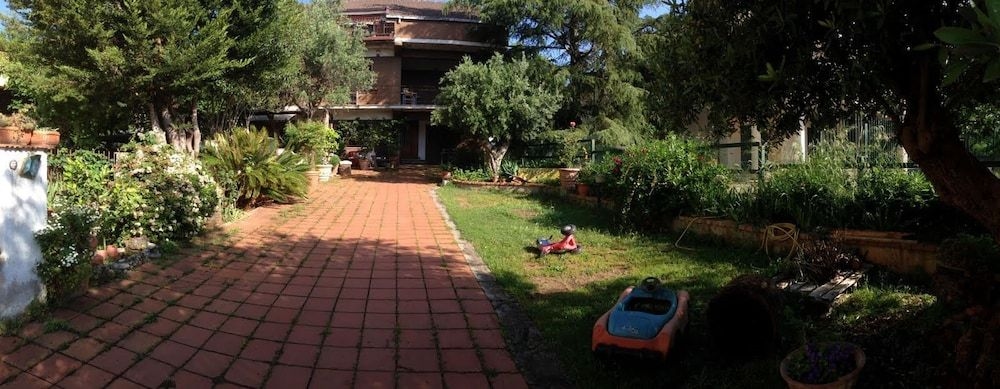 B & B Falcone3