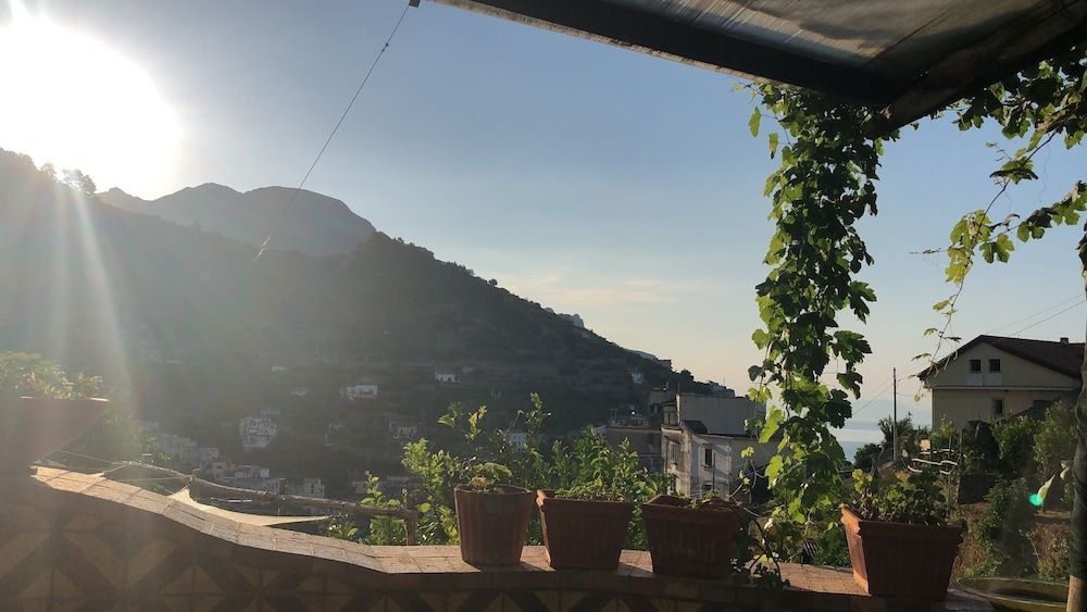 La Zagara2