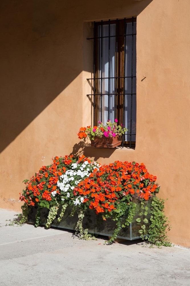 B&B Stradivari1