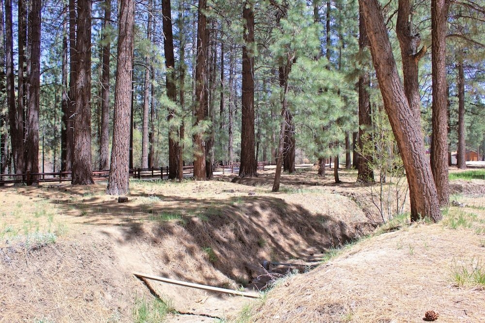 Goldmine Lodge & Black Bear Cottages3