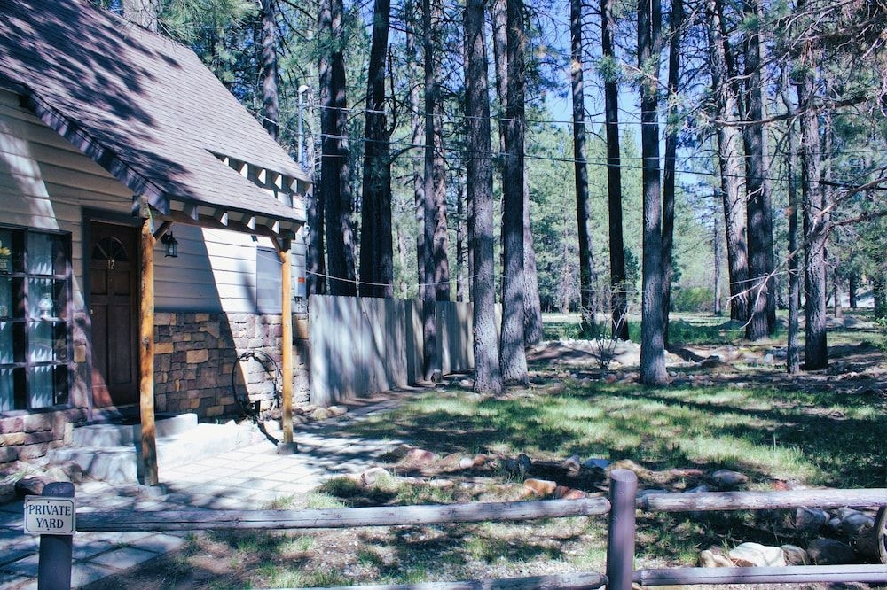 Goldmine Lodge & Black Bear Cottages0