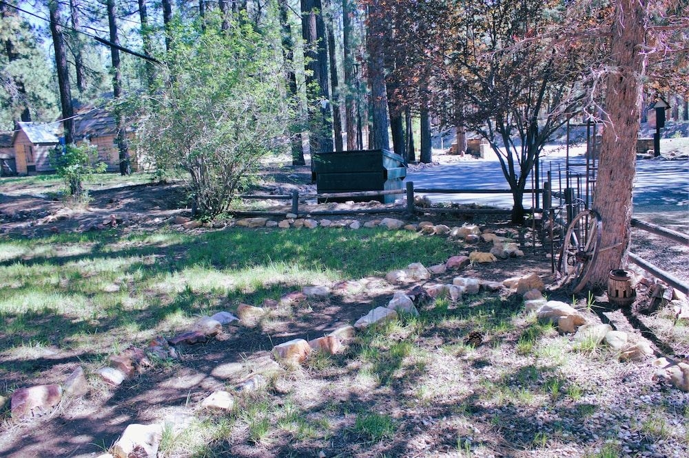 Goldmine Lodge & Black Bear Cottages1