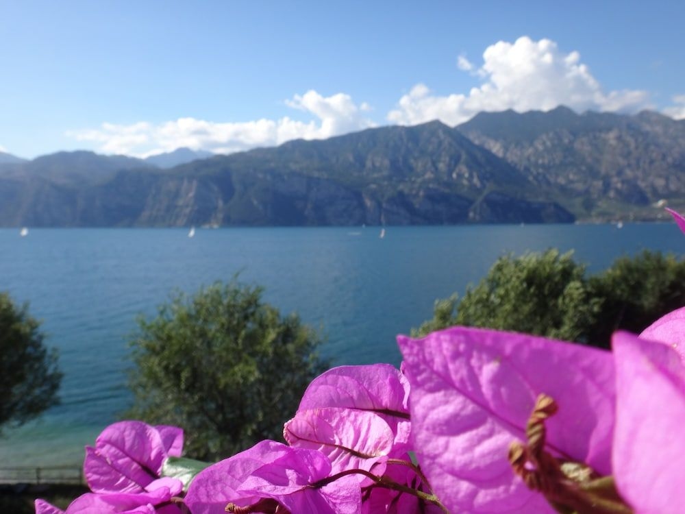 Hotel Villa Carmen4