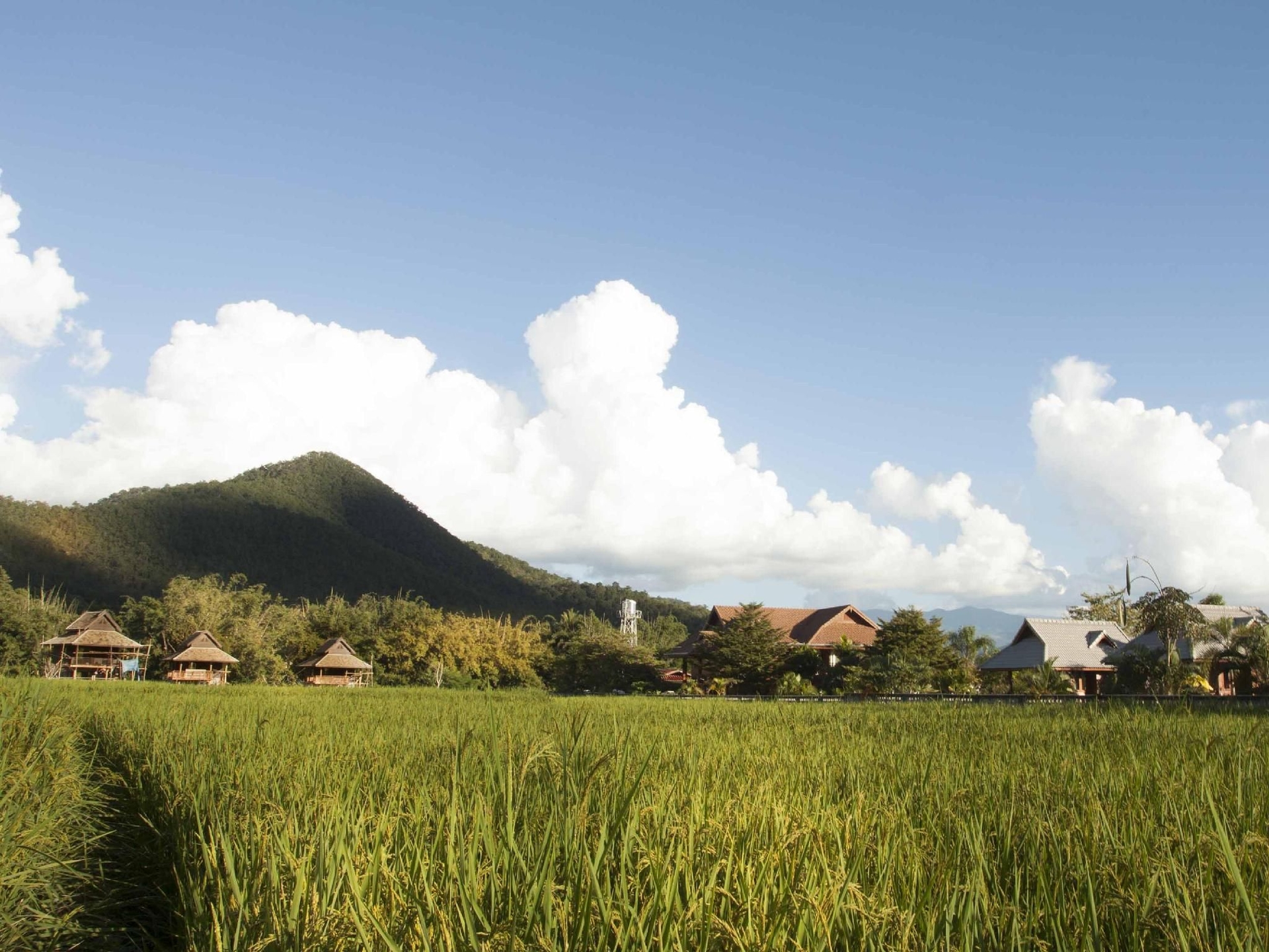 บลูสกาย ปาย รีสอร์ท (Blue Sky Pai Resort)0