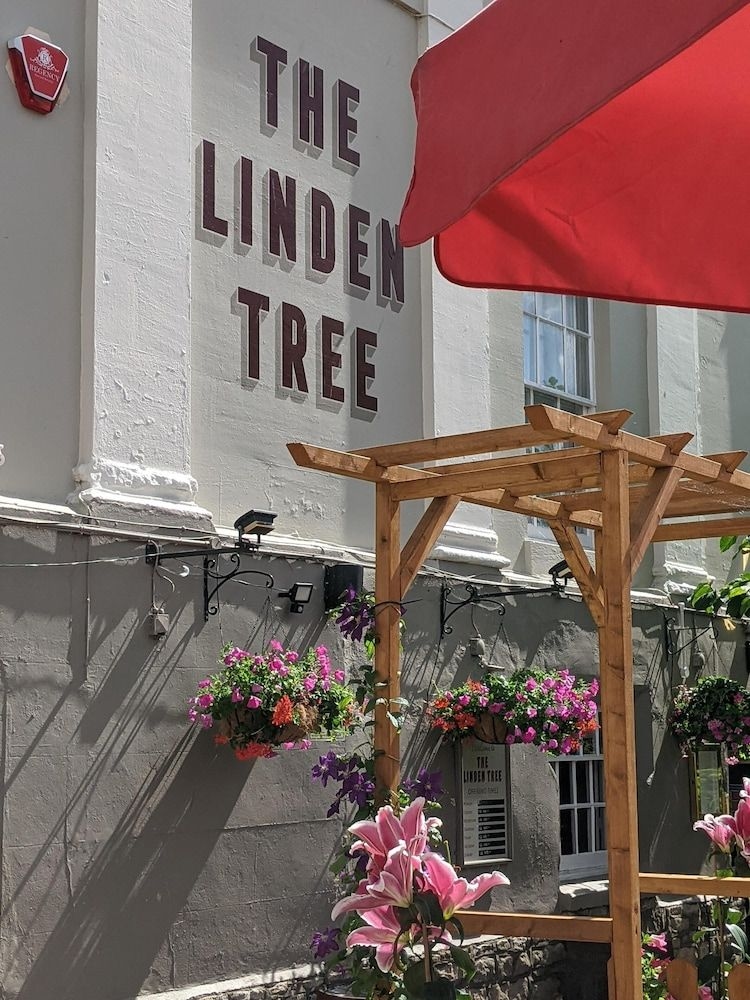 The Linden Tree2