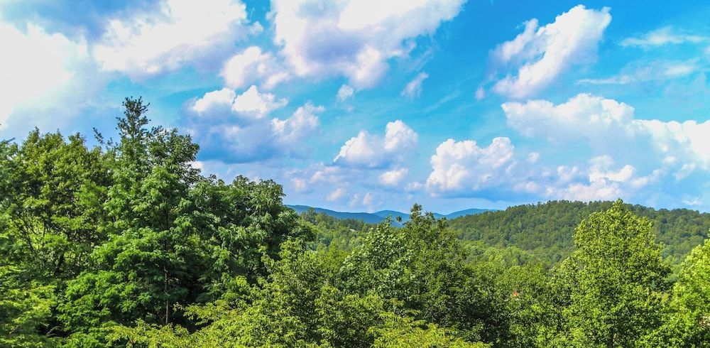 Alpine Crest Resort2