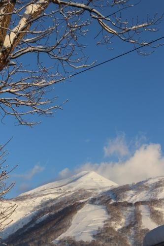 นิเซโกะ โอเอซี ลอดจ์ (Niseko OAC Lodge)2