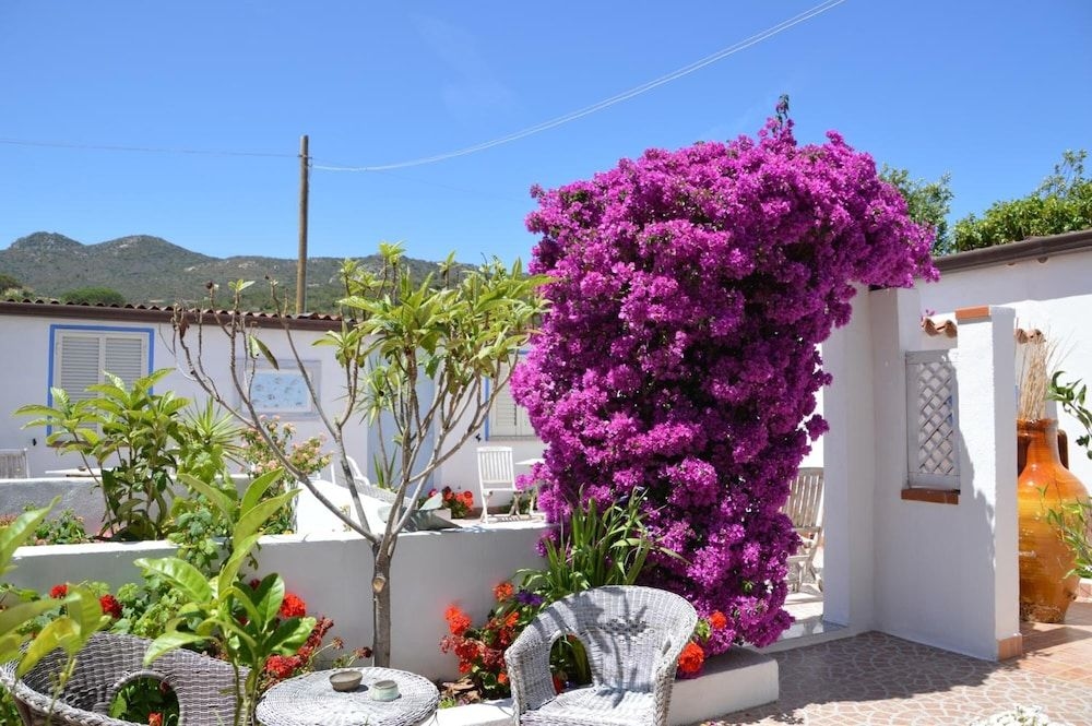 Hotel Il Timone0
