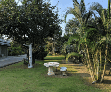 Pilton Resort0