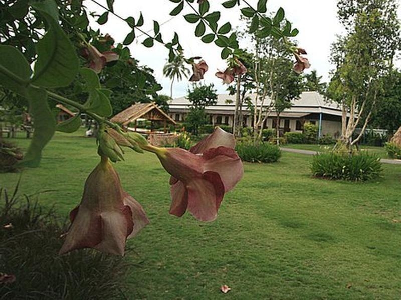 Pilton Resort4