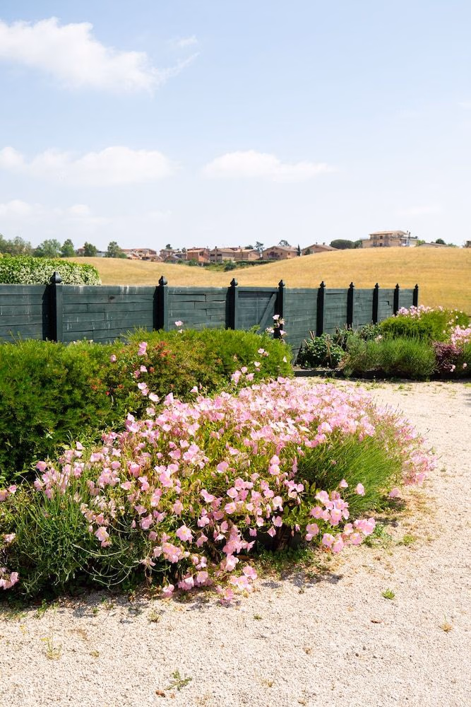 Tenuta Capizucchi0
