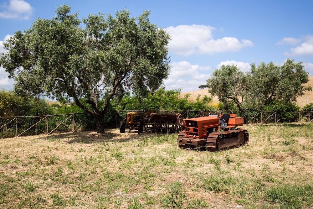 Tenuta Capizucchi1
